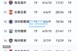 雷竞技:申花客场击败国安：赢得关键胜利，积分形势有所好转