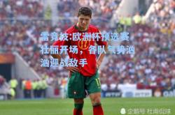 雷竞技:欧洲杯预选赛壮丽开场，各队气势汹汹迎战敌手