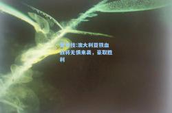 雷竞技:澳大利亚铁血战将无惧来袭，豪取胜利