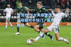 雷竞技:沃尔夫斯堡球员攻破对手球门，赢得胜利