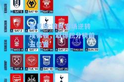 雷竞技:狼队客场逆转埃弗顿，取得积分榜前五位置