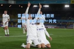 雷竞技:利兹联大胜谢菲联，升级前景一片光明