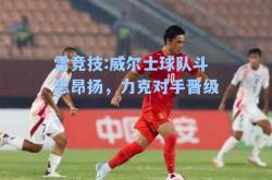 雷竞技:威尔士球队斗志昂扬，力克对手晋级