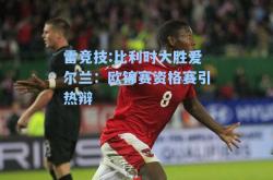 雷竞技:比利时大胜爱尔兰：欧锦赛资格赛引热辩