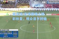 雷竞技:足球赛场上精彩纷呈，观众目不转睛