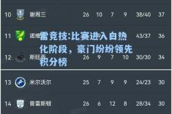 雷竞技:比赛进入白热化阶段，豪门纷纷领先积分榜