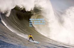 雷竞技:冰球联赛激战正酣，新星闪耀，老将坚守，冠军争夺进入白热化