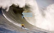 雷竞技:温网巅峰对决，阿尔卡拉斯逆转德约科维奇，新生代王者加冕