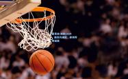 雷竞技:澳网2024，新生代崛起，老将传奇延续