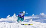 雷竞技:巅峰对决！扣篮大赛惊艳全场，新星闪耀夺魁