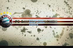 雷竞技:极限运动热潮席卷全球，挑战者突破自我再创纪录