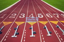 雷竞技:中国双人滑组合闪耀国际赛场 摘金夺银展现强大实力