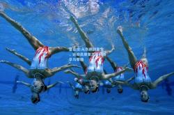 雷竞技:从伤病到重生，运动员康复之路的艰辛与荣耀