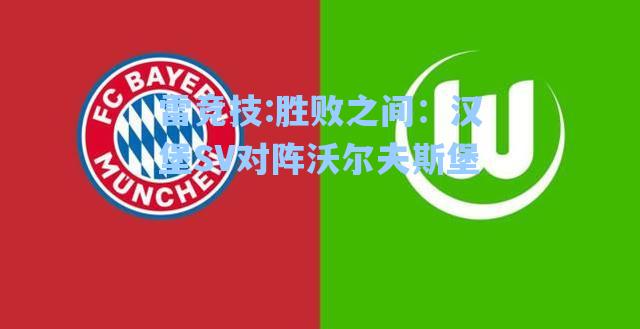 胜败之间：汉堡SV对阵沃尔夫斯堡