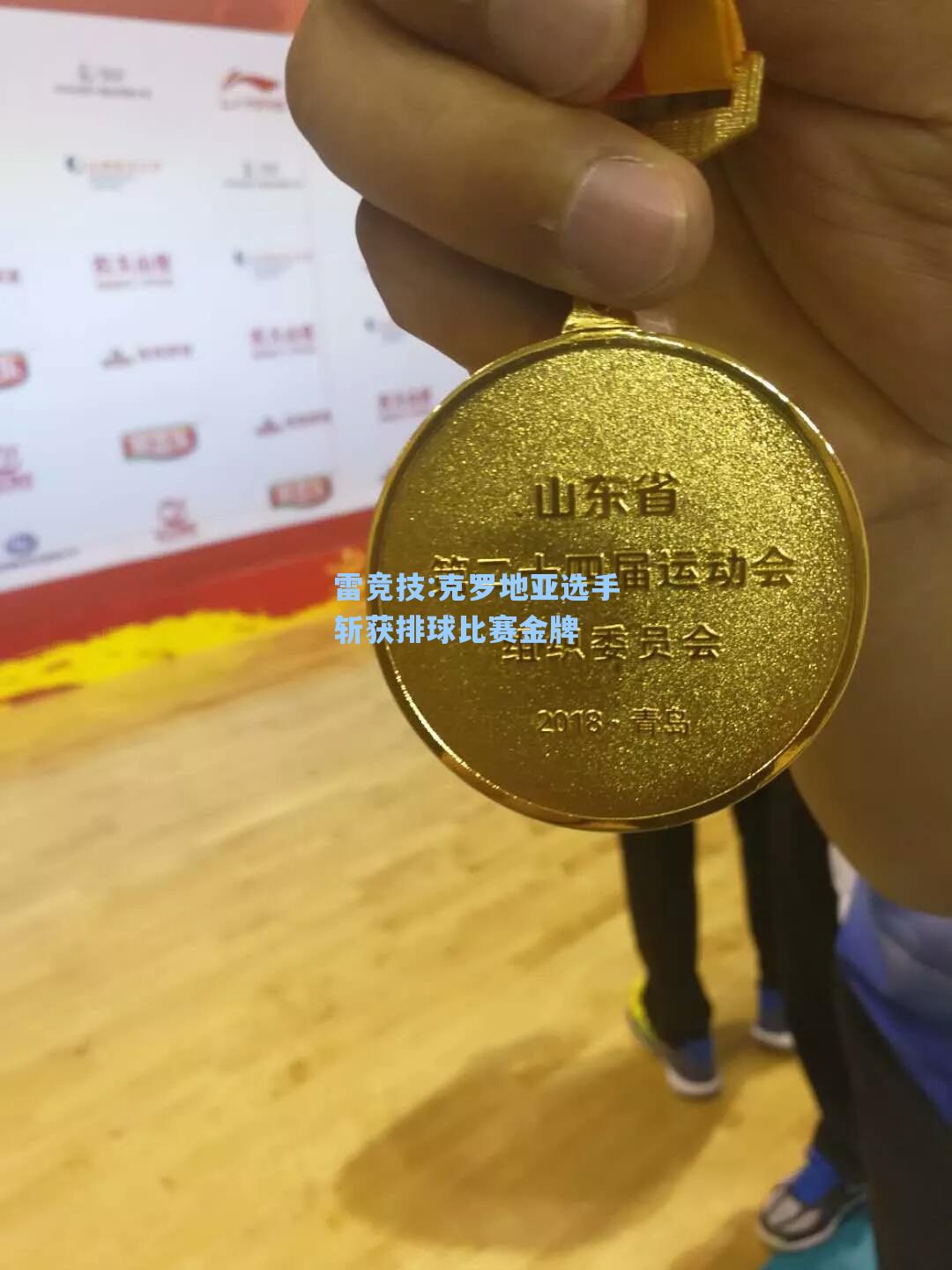 克罗地亚选手斩获排球比赛金牌