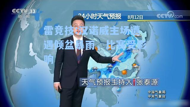 汉诺威主场遭遇倾盆暴雨，比赛受影响