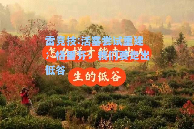 活塞尝试重建：格里芬：我们要走出低谷