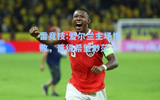 爱尔兰主场惨败，晋级希望渺茫