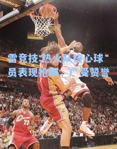 热火队核心球员表现抢眼，广受赞誉