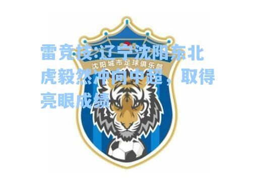 辽宁沈阳东北虎毅然冲向中超，取得亮眼成绩