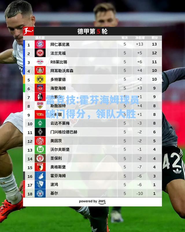 霍芬海姆球员破门得分，领队大胜