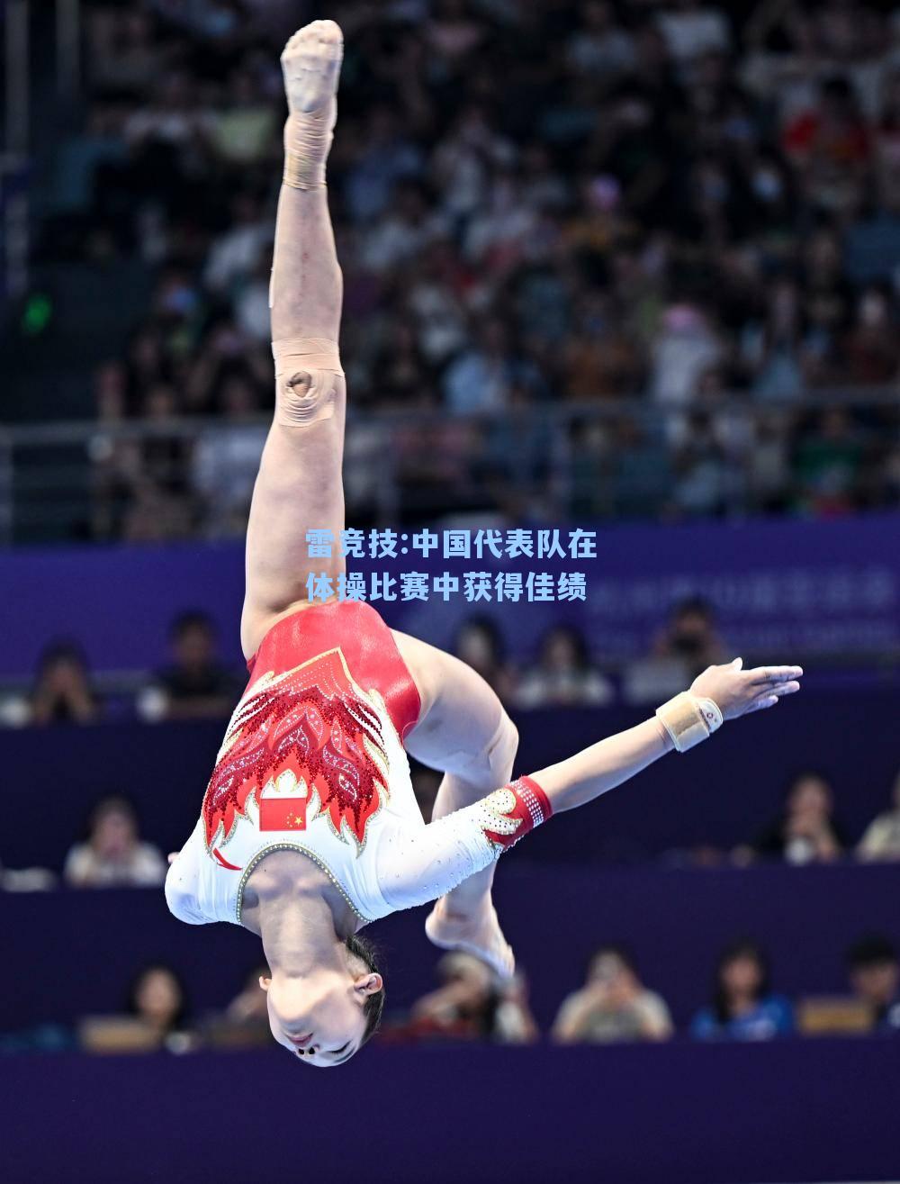 中国代表队在体操比赛中获得佳绩
