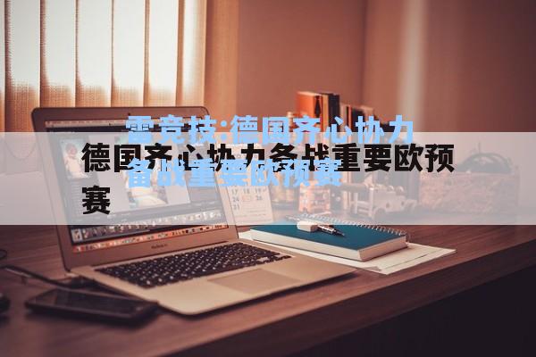 德国齐心协力备战重要欧预赛