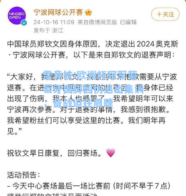 欧洲杯冠军葡萄牙国脚因伤退出集训，备战迫在眉睫