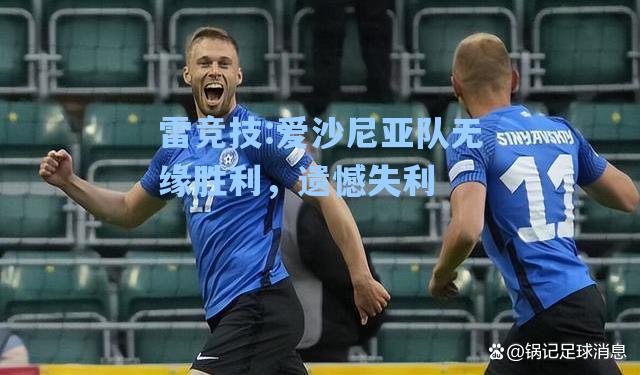 爱沙尼亚队无缘胜利，遗憾失利