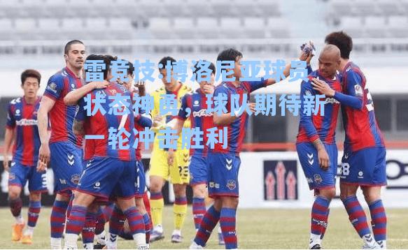 博洛尼亚球员状态神勇，球队期待新一轮冲击胜利