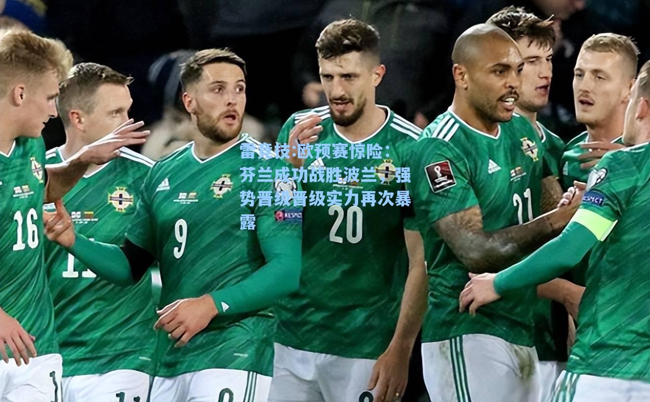 欧预赛惊险：芬兰成功战胜波兰，强势晋级晋级实力再次暴露