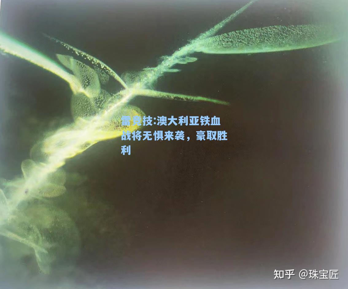 澳大利亚铁血战将无惧来袭，豪取胜利