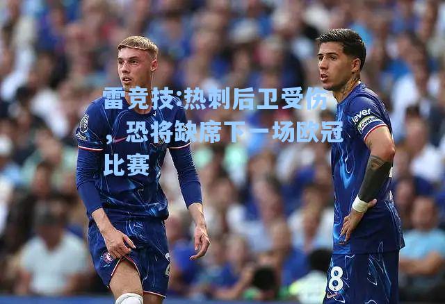 热刺后卫受伤，恐将缺席下一场欧冠比赛