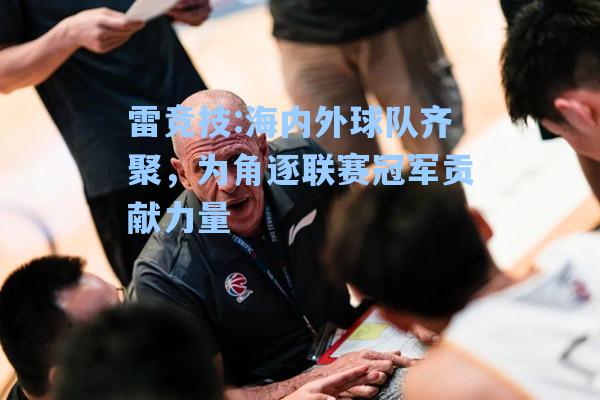 海内外球队齐聚，为角逐联赛冠军贡献力量