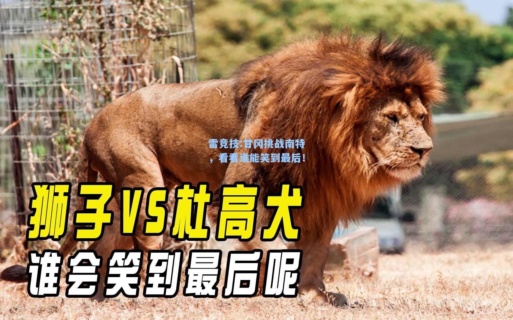 甘冈挑战南特，看看谁能笑到最后！
