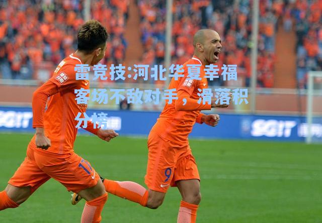 河北华夏幸福客场不敌对手，滑落积分榜