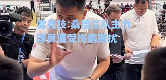 桑德兰队主力球员遭受伤病困扰