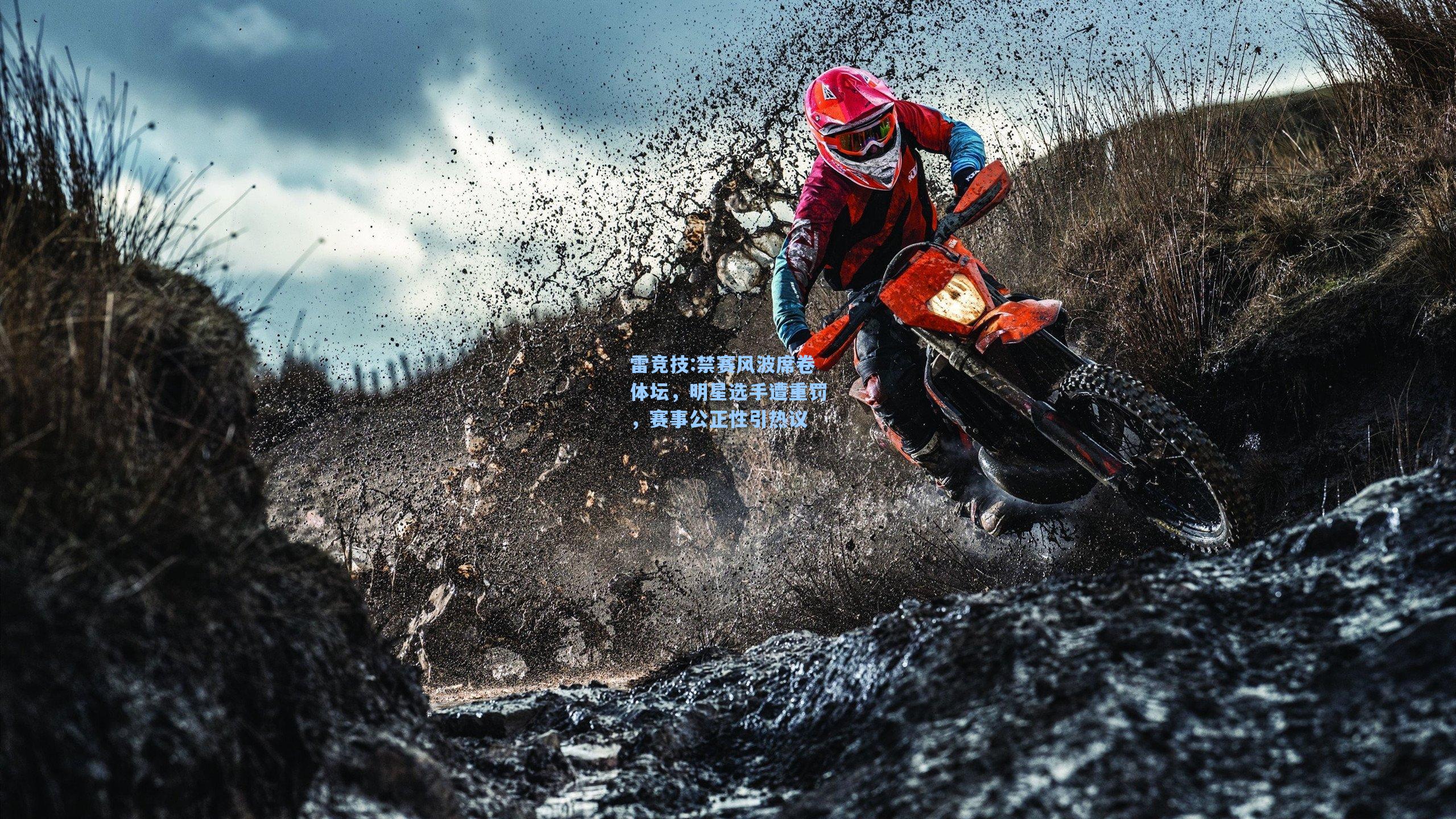 禁赛风波席卷体坛，明星选手遭重罚，赛事公正性引热议
