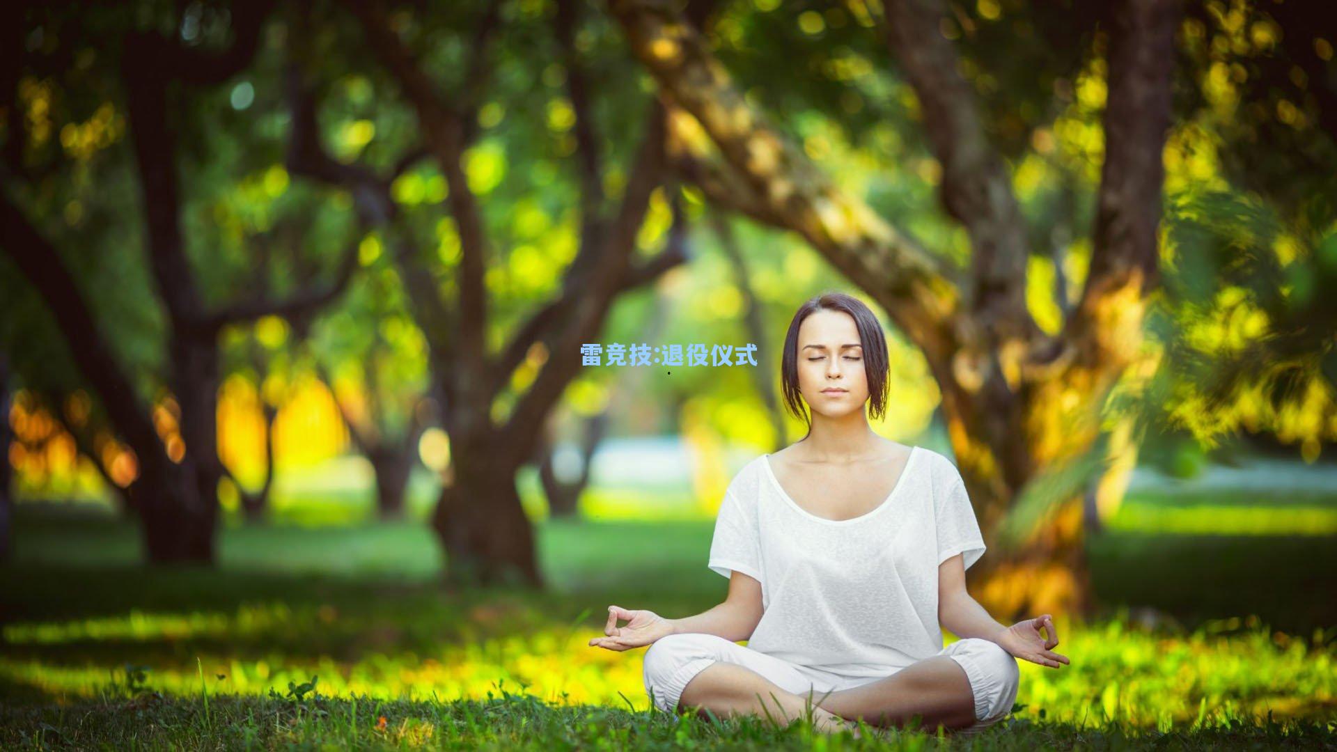 退役仪式